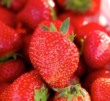 Wexford strawberries