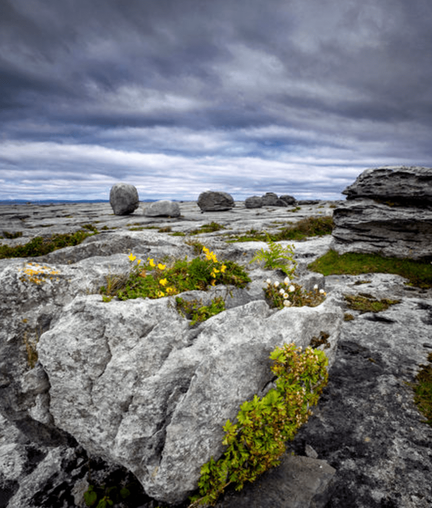 The beautiful Burren landscape 