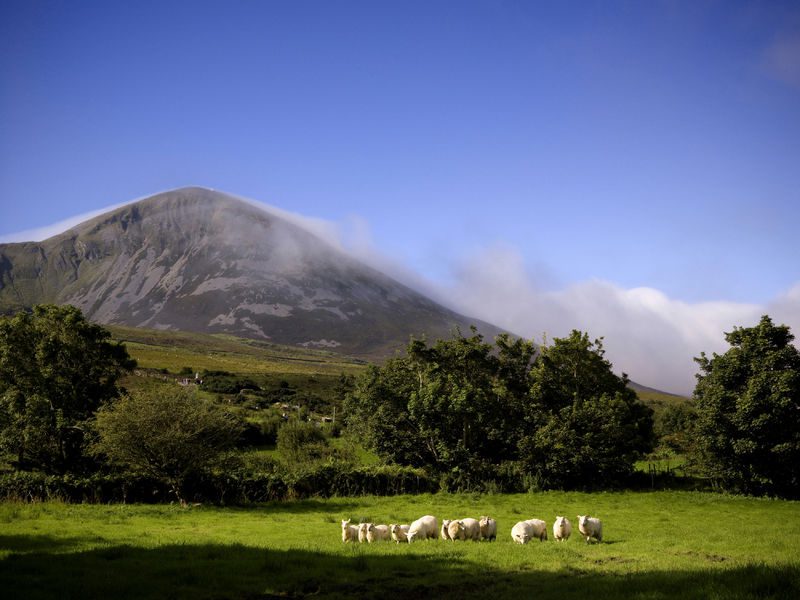croagh-patrick
