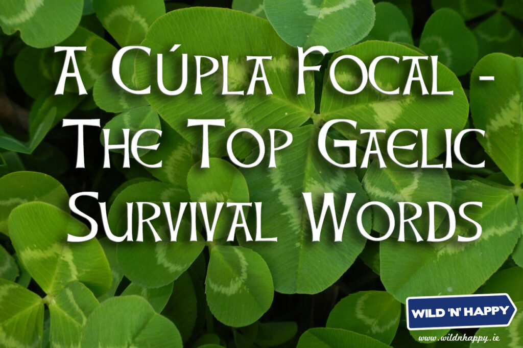A Cupla Focal - The Top Gaelic Survival Words