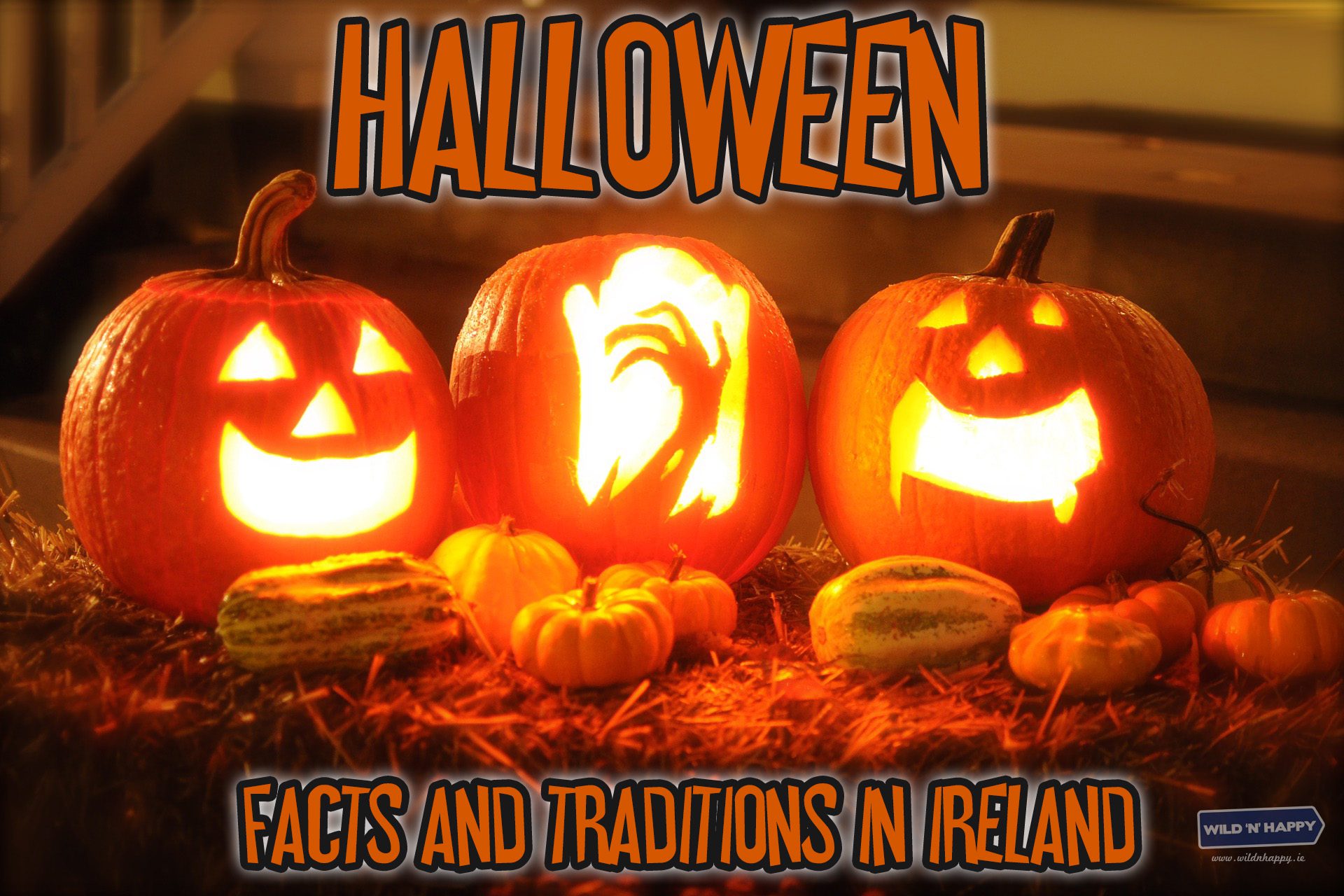 Halloween: Facts and traditions in Ireland | Wild N Happy Travel