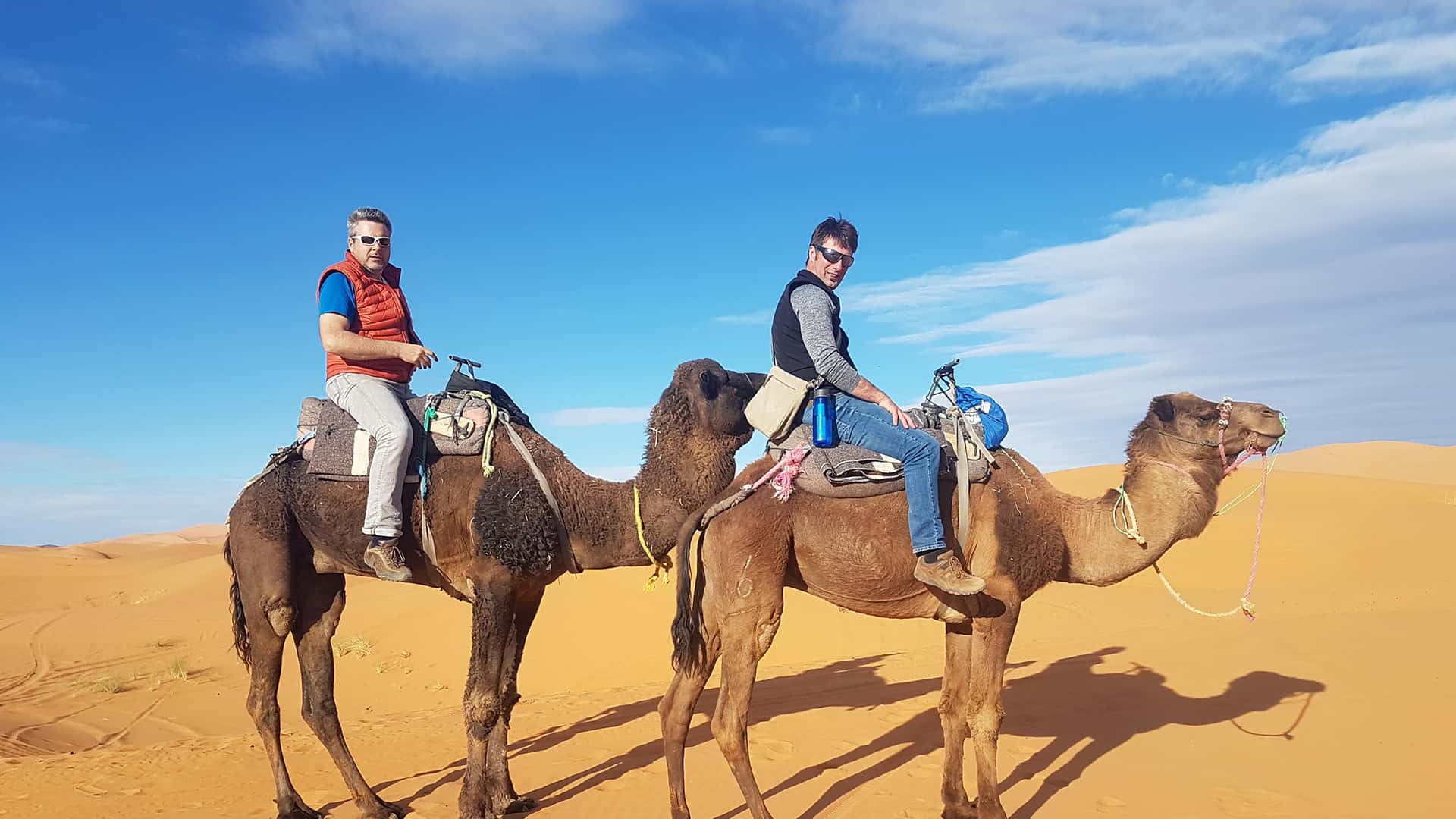 wild morocco tours