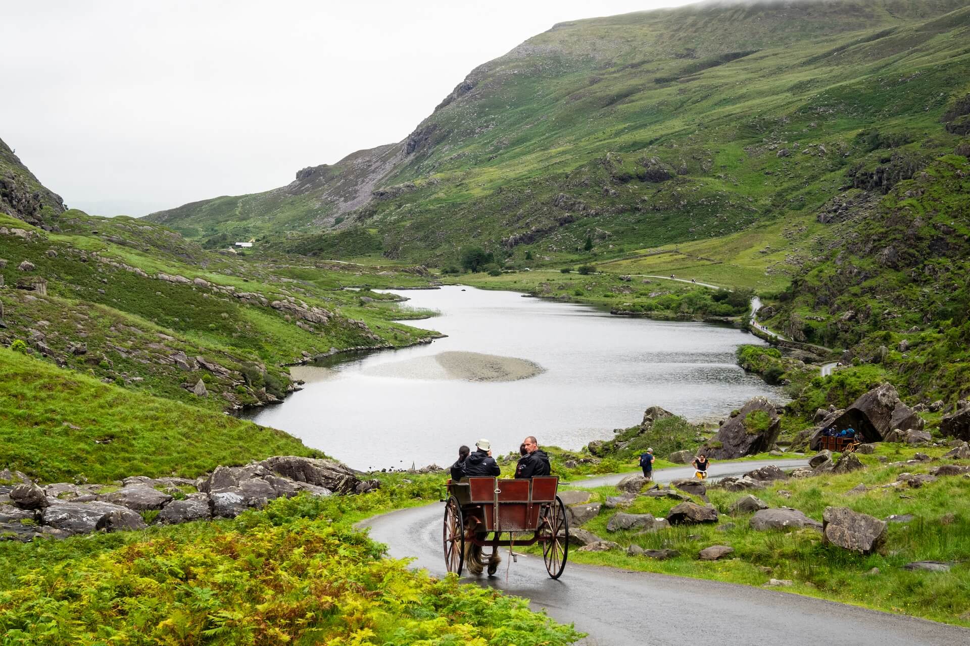 People riding a horse and carriage (jaunting car) through the green hills of Ireland. Photo: Andre Ouellet
