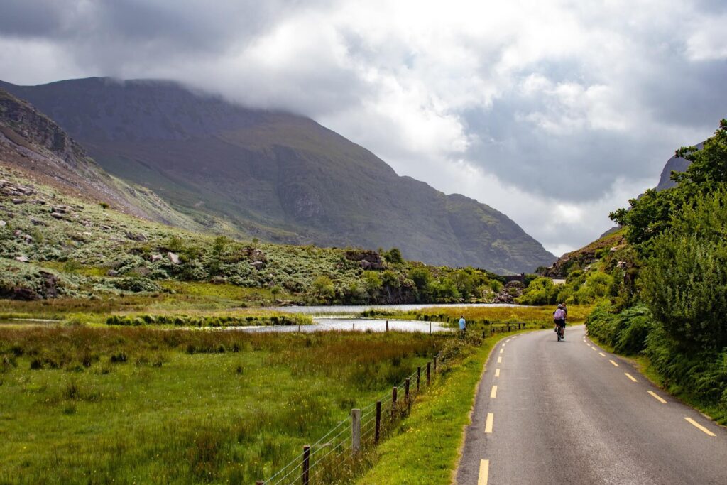 A cyclist riding on a road, surrounded by green fields, trees and mountains. Photo: Ciarán Ó Muirgheasa. Killarney 