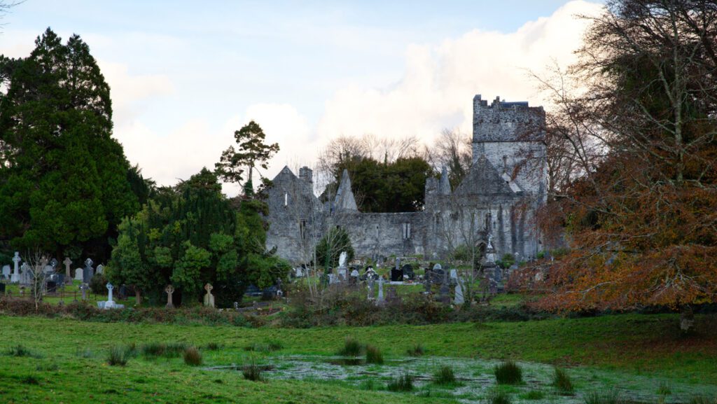 Ancient, weathered stones of Muckross Abbey, a historic site within the park.